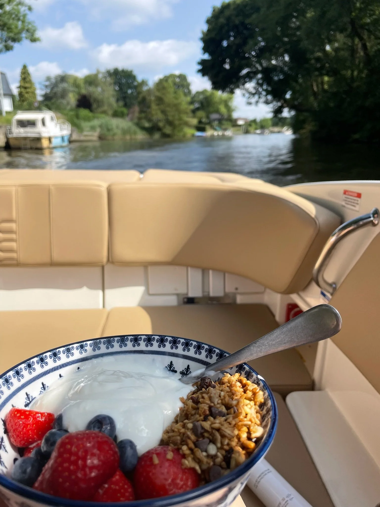 Een bowl met yoghurt, aardbeien, blauwe bessen en granola op een boot, met uitzicht op het water en groen bladerige bomen.