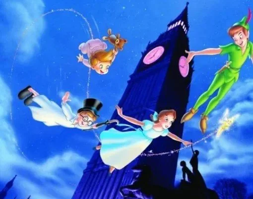 Adult Pantomime (Dearne Valley)