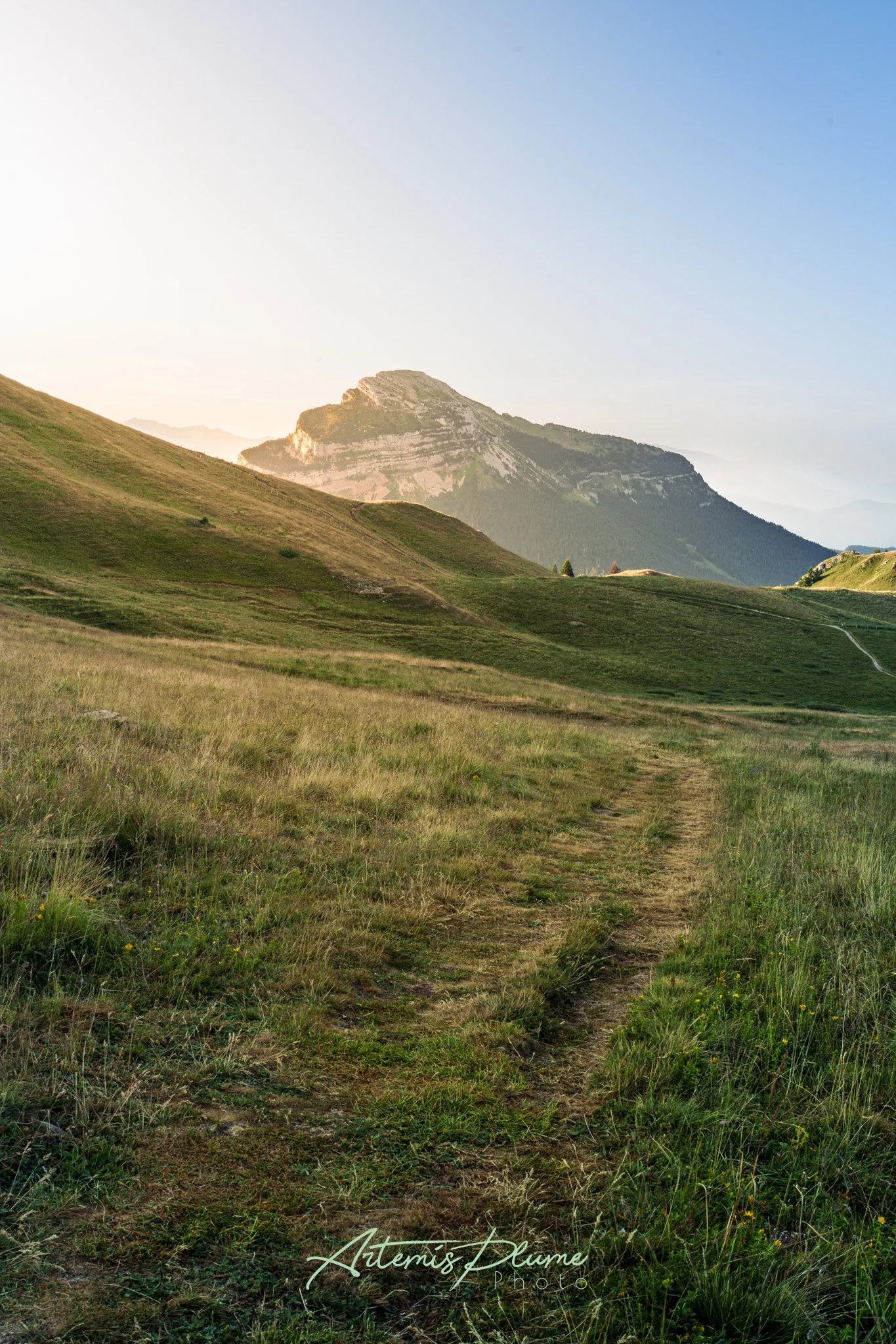 Photo d'un chemin en alpage au lever de soleil, une montagne en fond