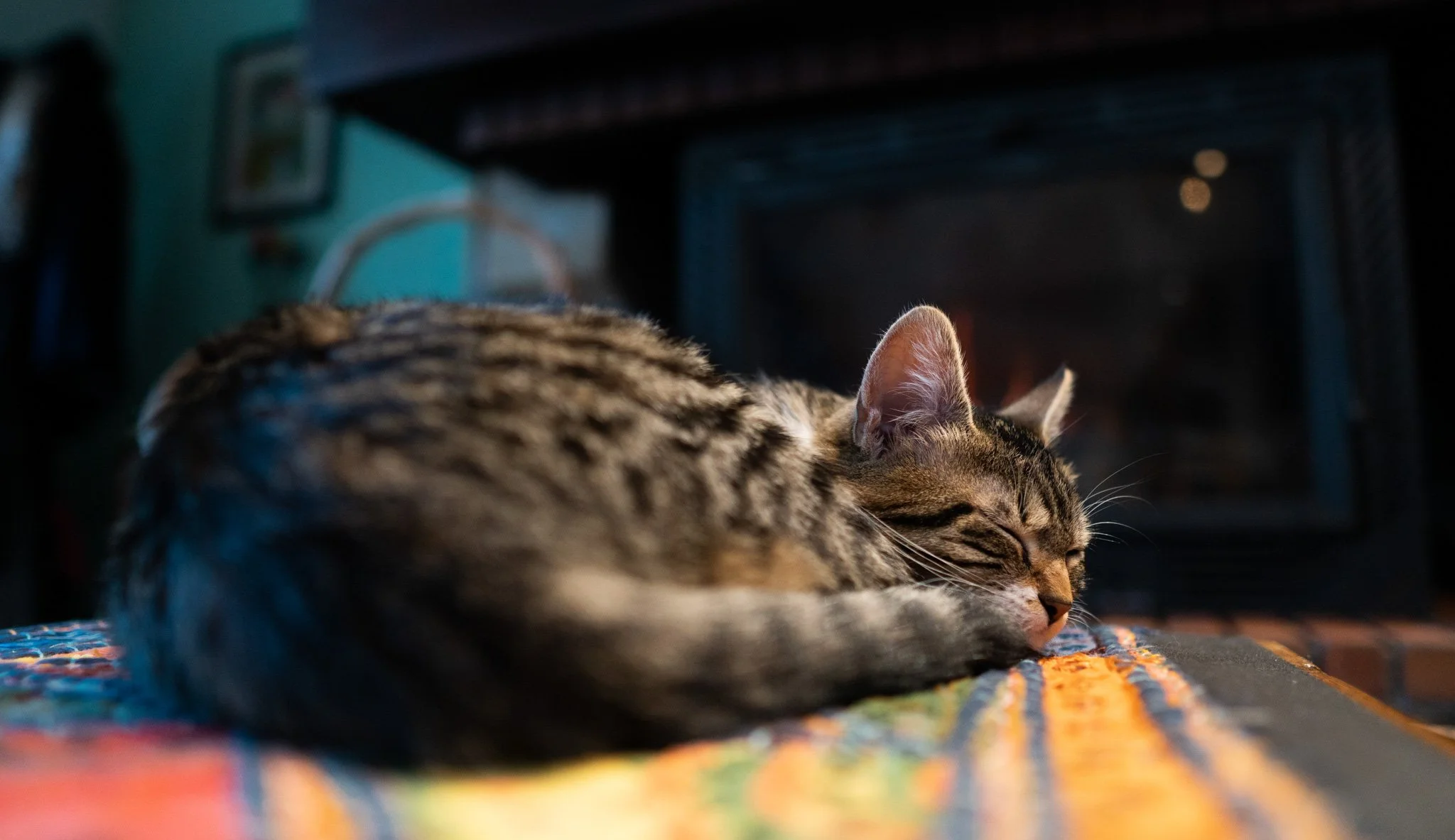 Un chat tigré roux et gris tacheté couche ses yeux fermés sur un tapis coloré, près d'un poêle à bois.