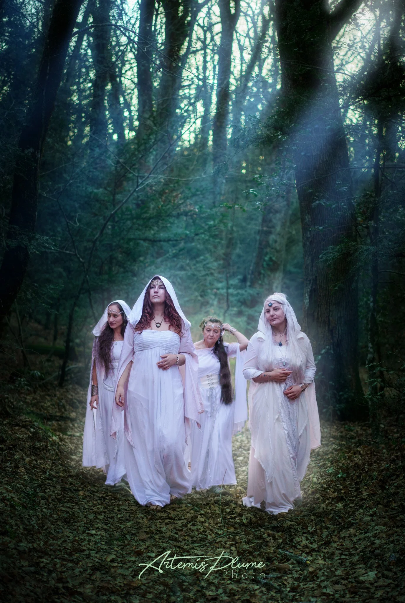 High Fantasy - Elfes Tribal Anima