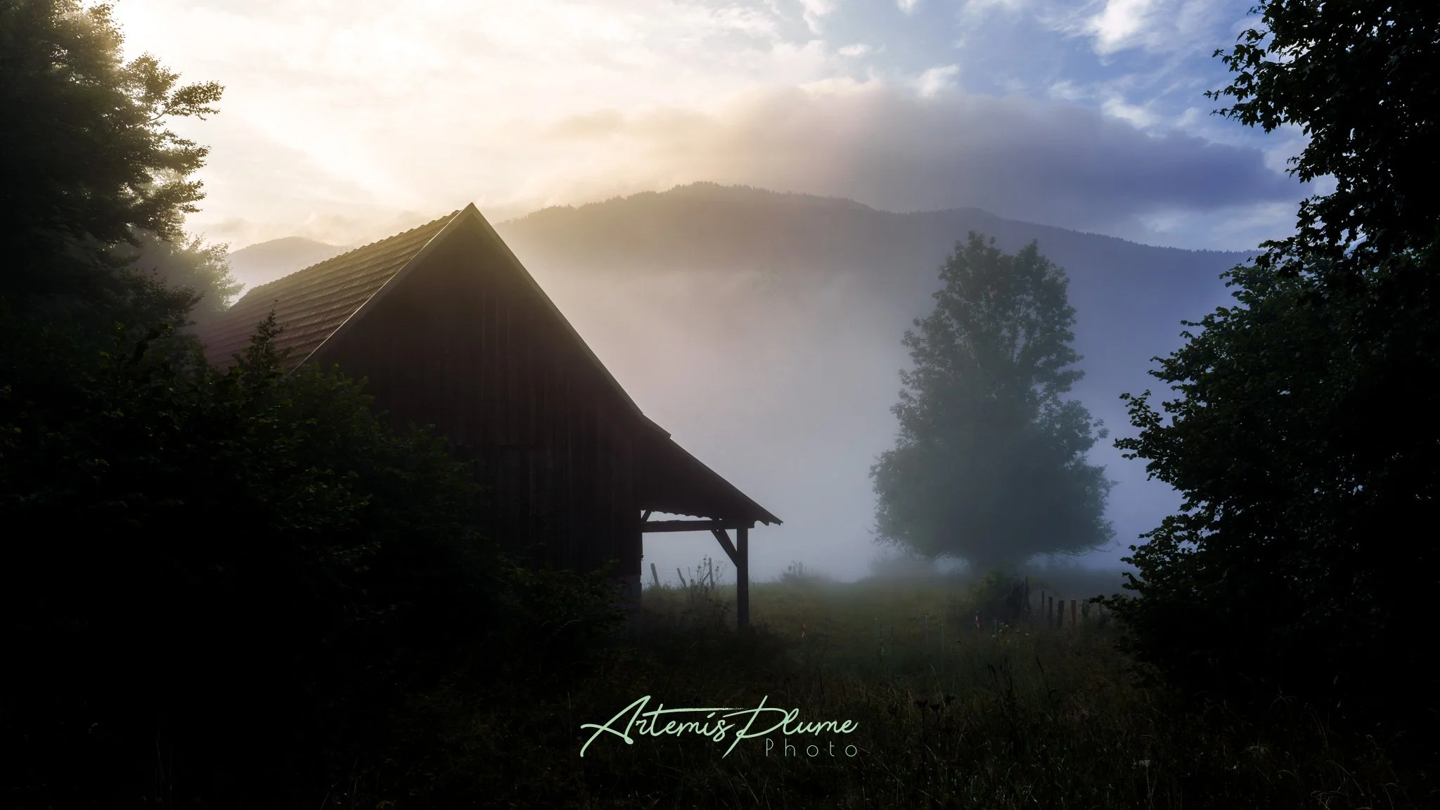 Photo en clair-obscur d'une grange dans le brouillard, un arbre solitaire se démarque et une montagne est en fond