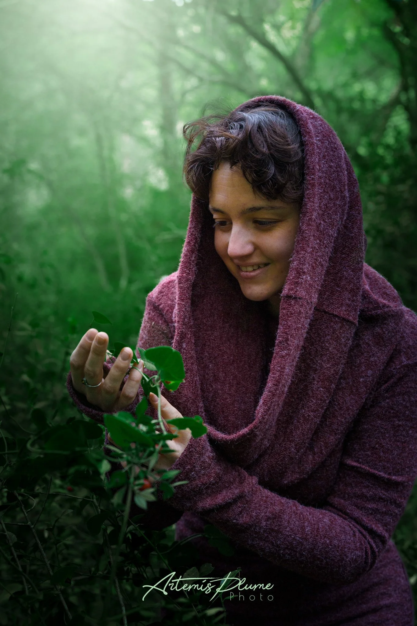 Photo d'une femme avec capuche rouge dans une forêt, regardant une plante