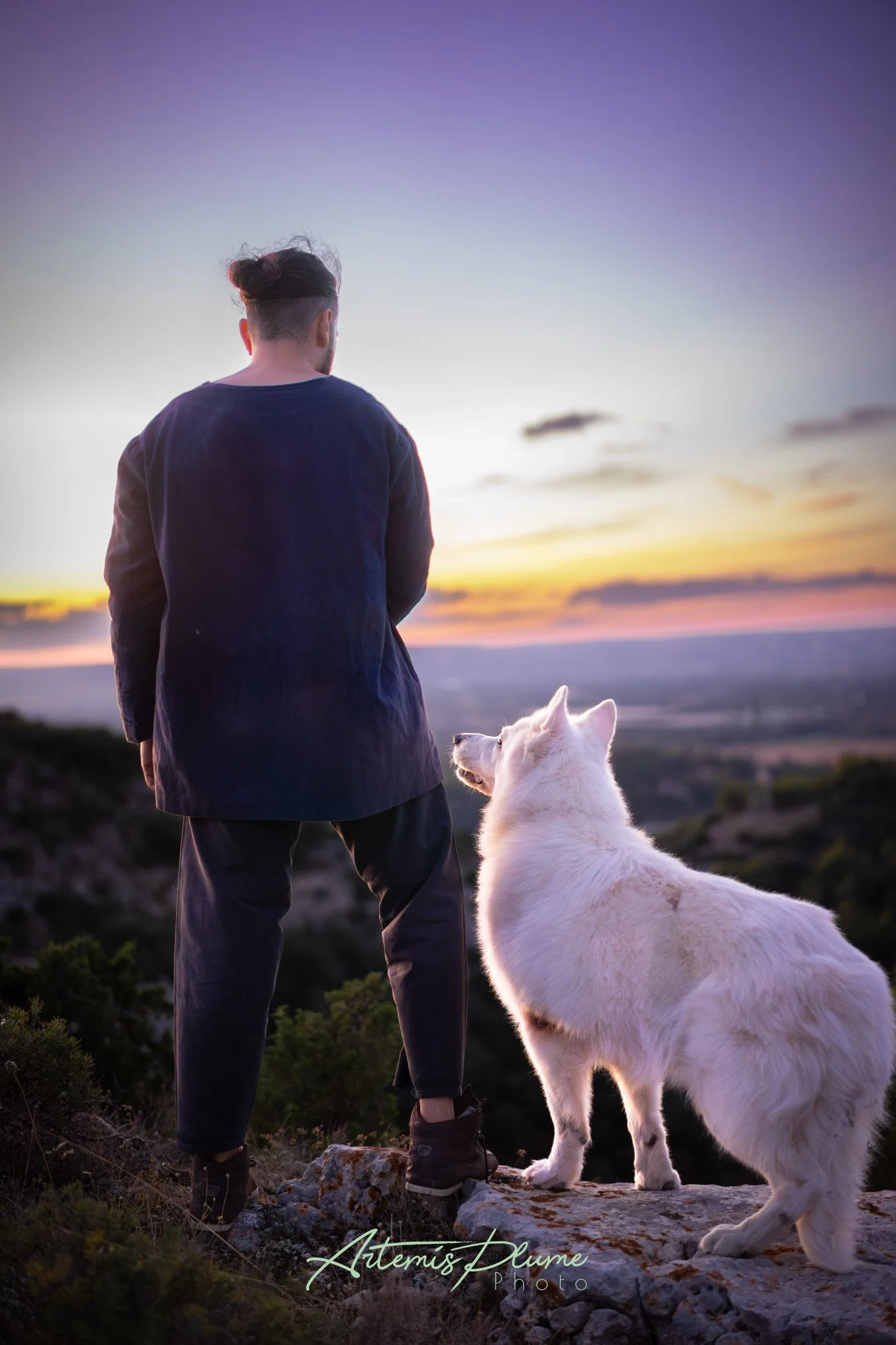 Photo d'un homme musclé aux cheveux longs attachés accroupi à côté de son chien berger blanc suisse. les deux sont de dos et regardent un paysage après le coucher de soleil, le chien regarde l'homme