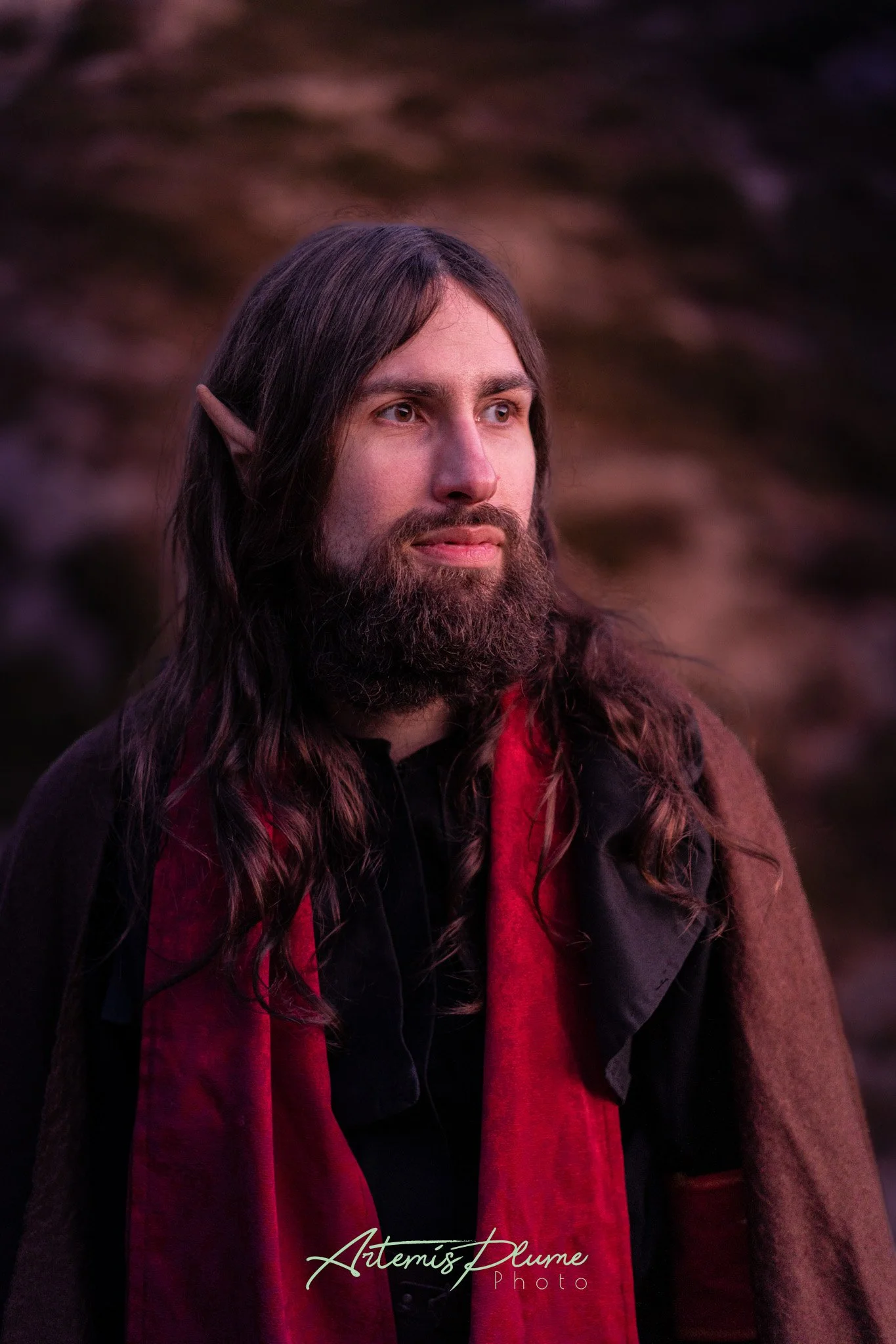 Photo d'un homme en costume d'elfe noir