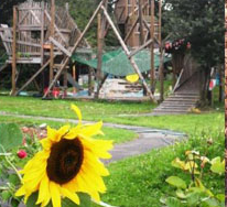 Hackney Marsh Adventure Playground