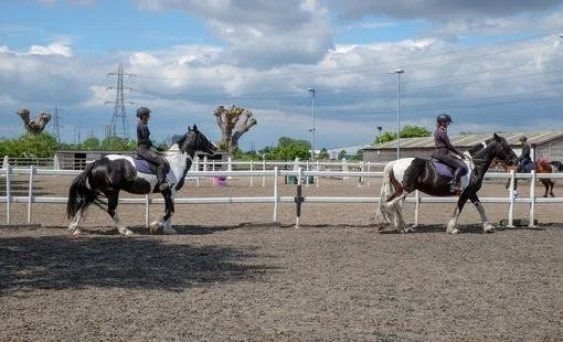 The images shows two people riding horses