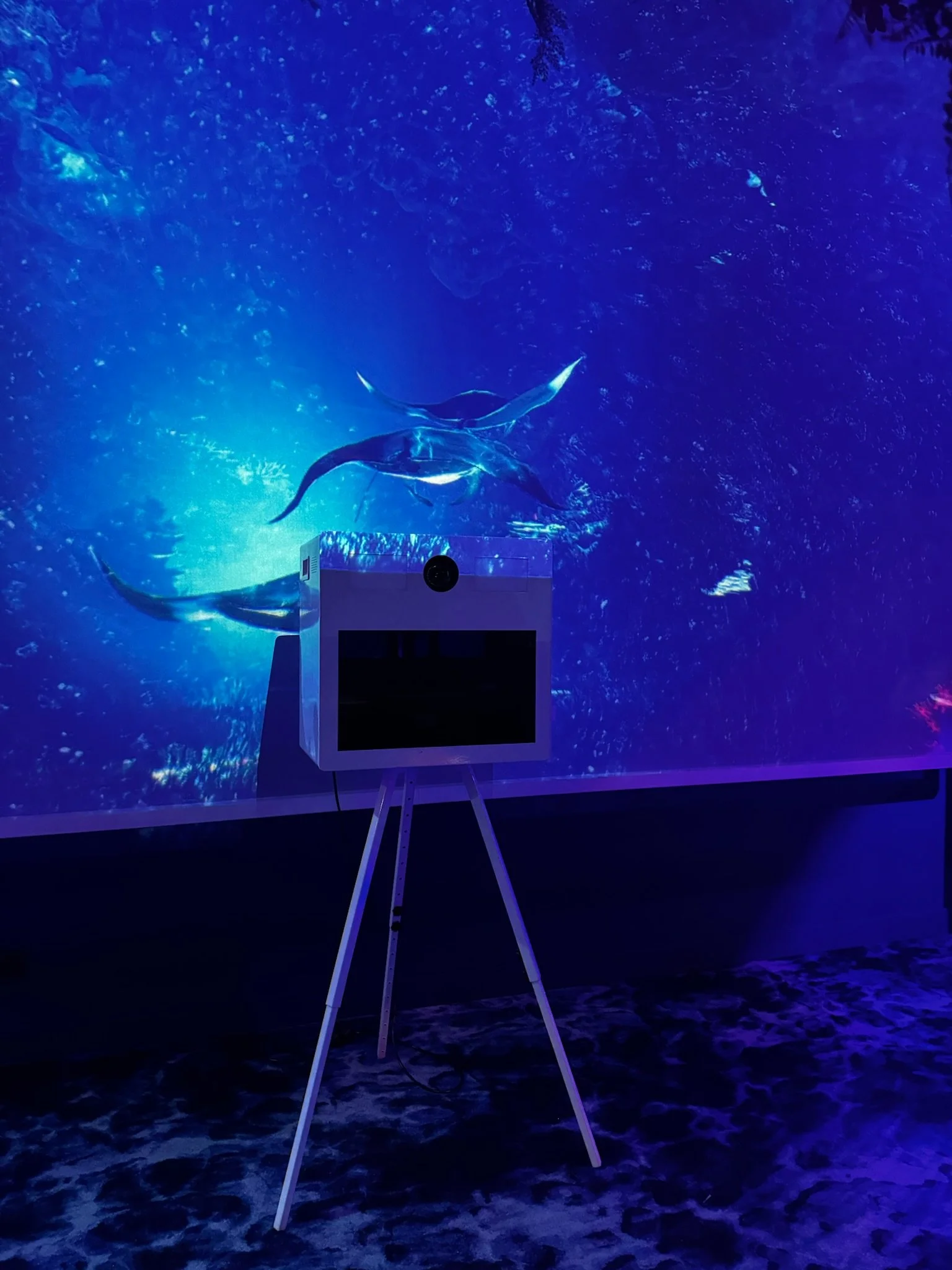 tarif photobooth entreprise 