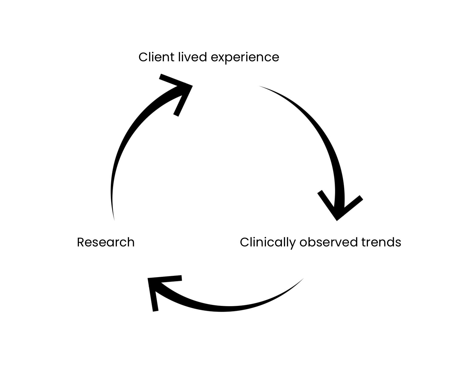 Circular diagram showing the cycle of research, clinically observed trends, and client lived experience with arrows connecting them.