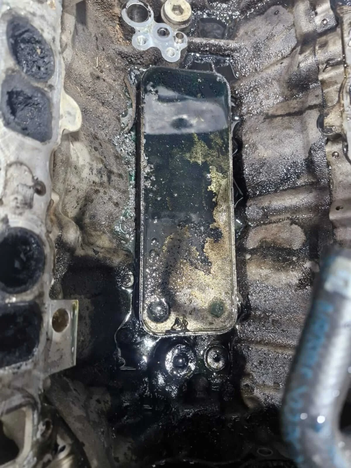2007 c320 came in with an oil leak 04.jpg