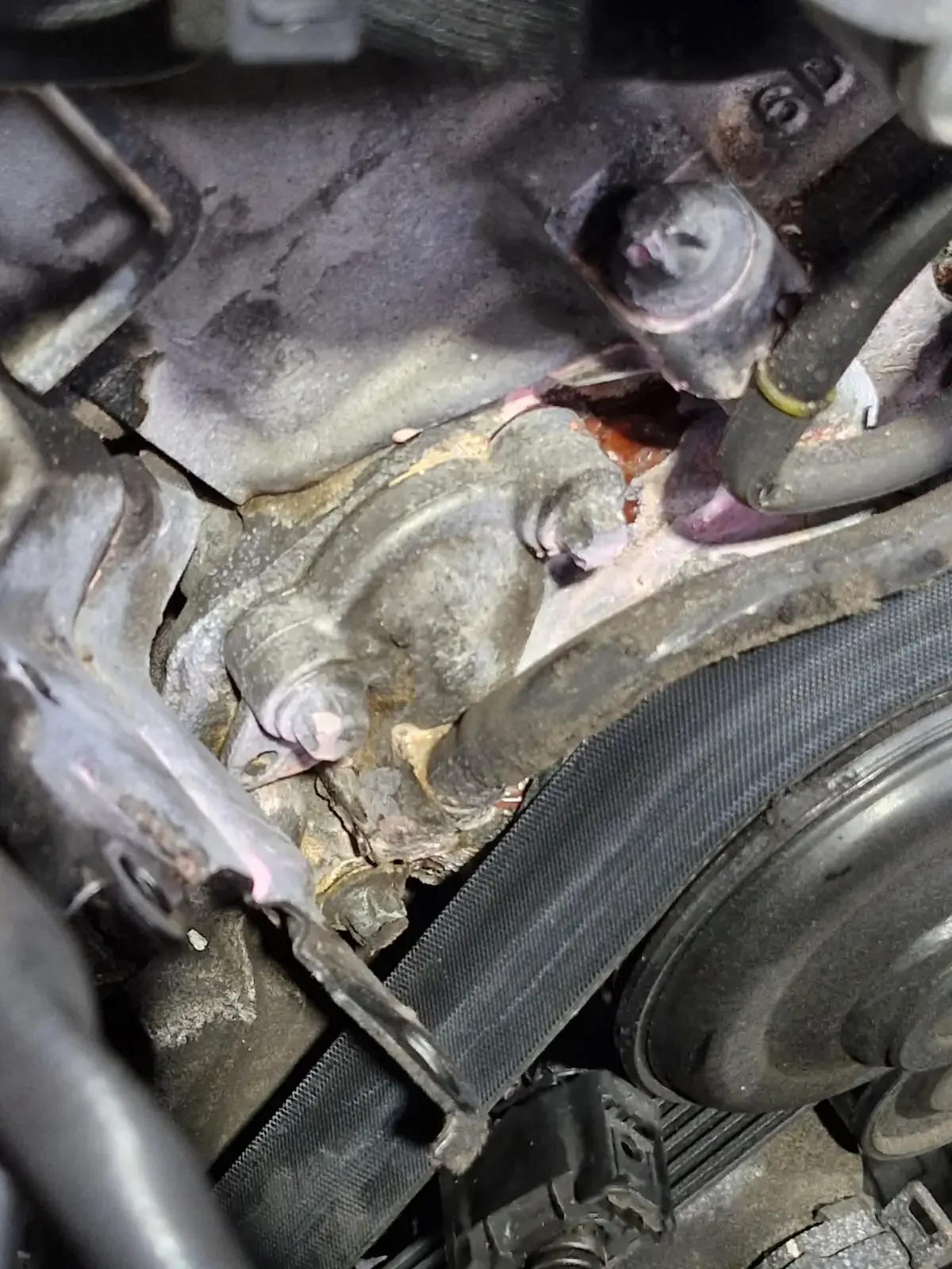 Mercedes Benz GL350 Water Pump Replacement 04.webp