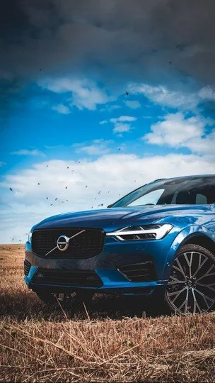 Blue Volvo car parked on dry grass under a partly cloudy sky.