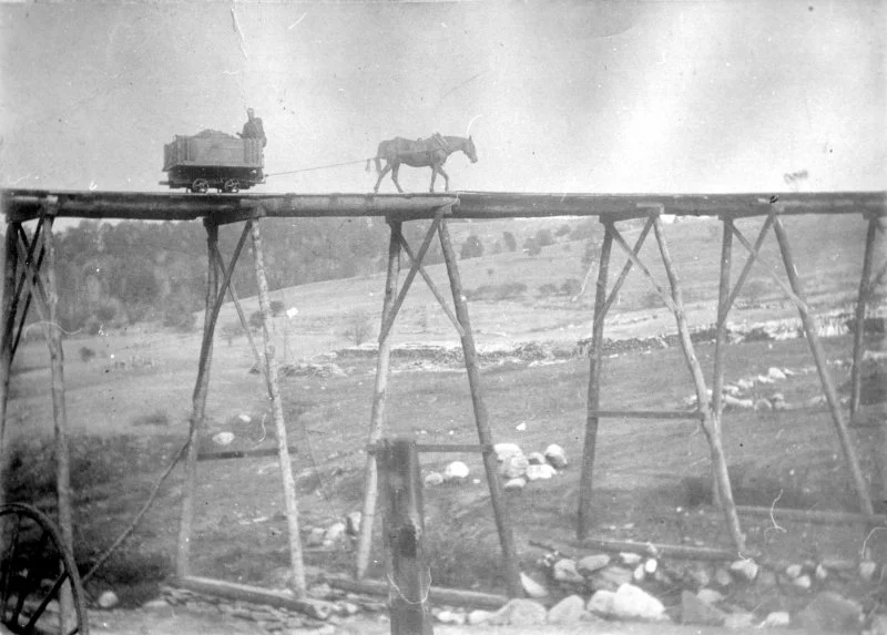 Black and white photo of a horse pulling a small cart across a wooden trestle bridge in a rural area.