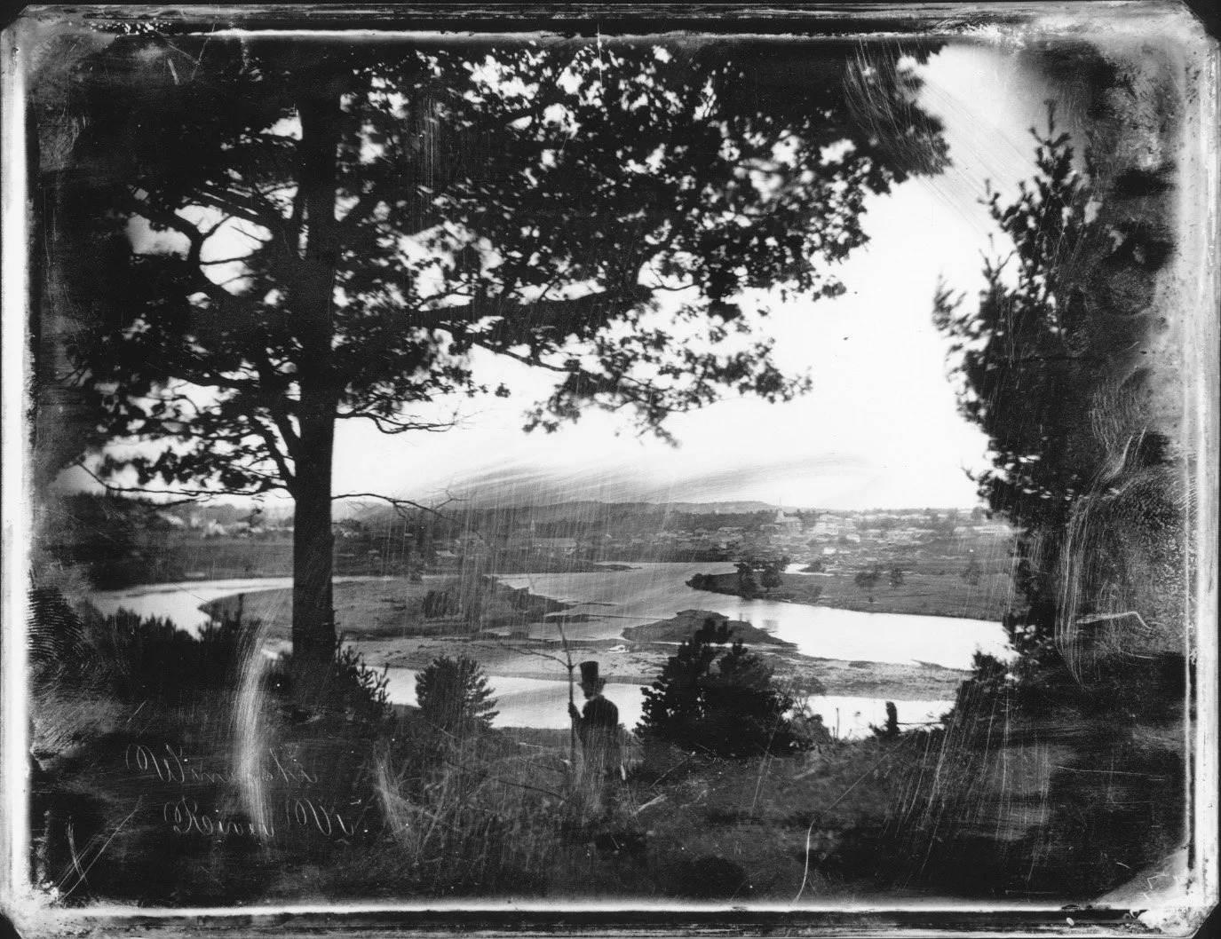 Black and white photograph of a large tree overlooking a landscape with a river, hills, and a person standing near the trees in the foreground.
