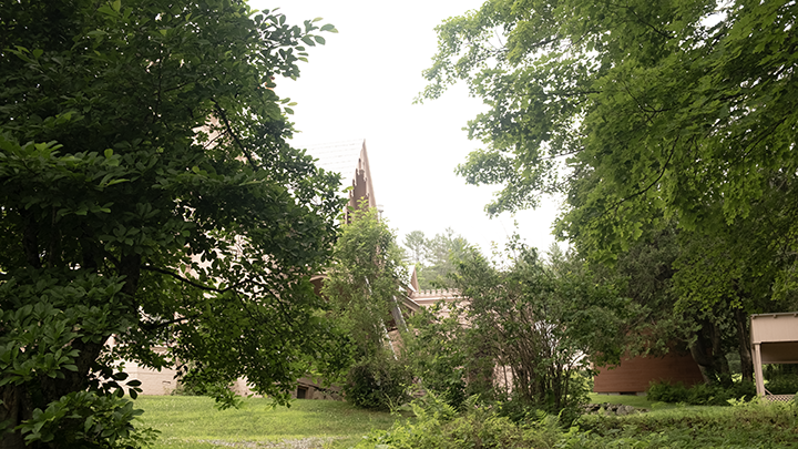 A lush green park with tall trees and a building with a pointed roof visible in the background.