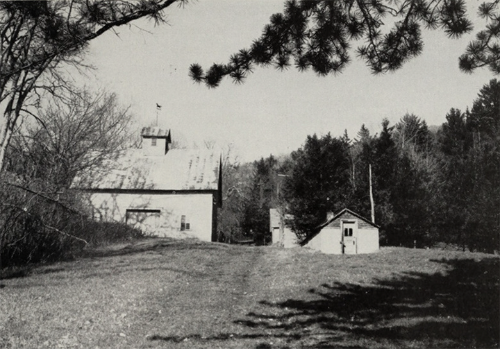 A black and white photo of a rural scene with a large house, a small shed, trees, and a dirt road.