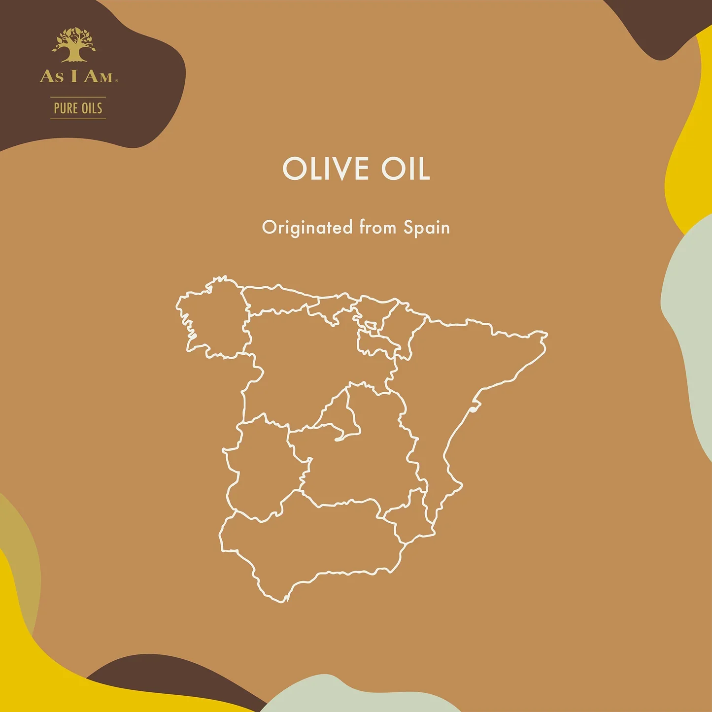 Olive-Oil.jpg.webp