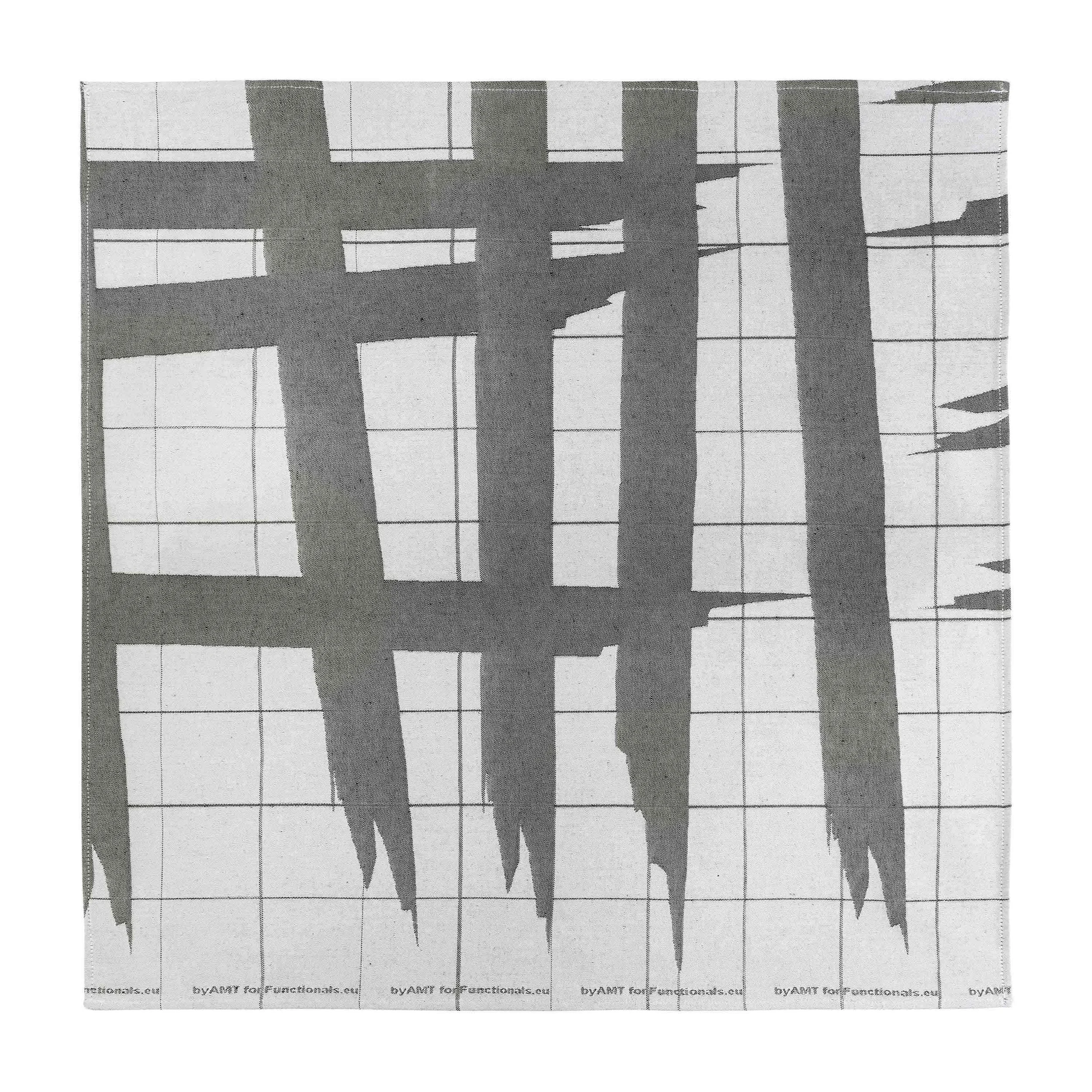 Taped-Dish-Towel-byAMT-Functionals-Silo.jpg