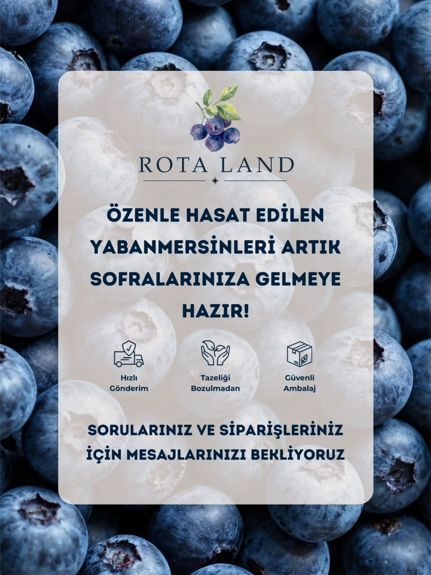 🫐 Rota Land yabanmersinleri nihayet sizlerle buluşmaya hazır!

📦 Her birini &ouml;zenle tek tek topladığımız meyvelerimizi, ilk g&uuml;nk&uuml; lezzetini ve formunu koruması i&ccedil;in &ouml;zel ısı yalıtımlı ambalajlarla kapınıza kadar ulaştırıyo