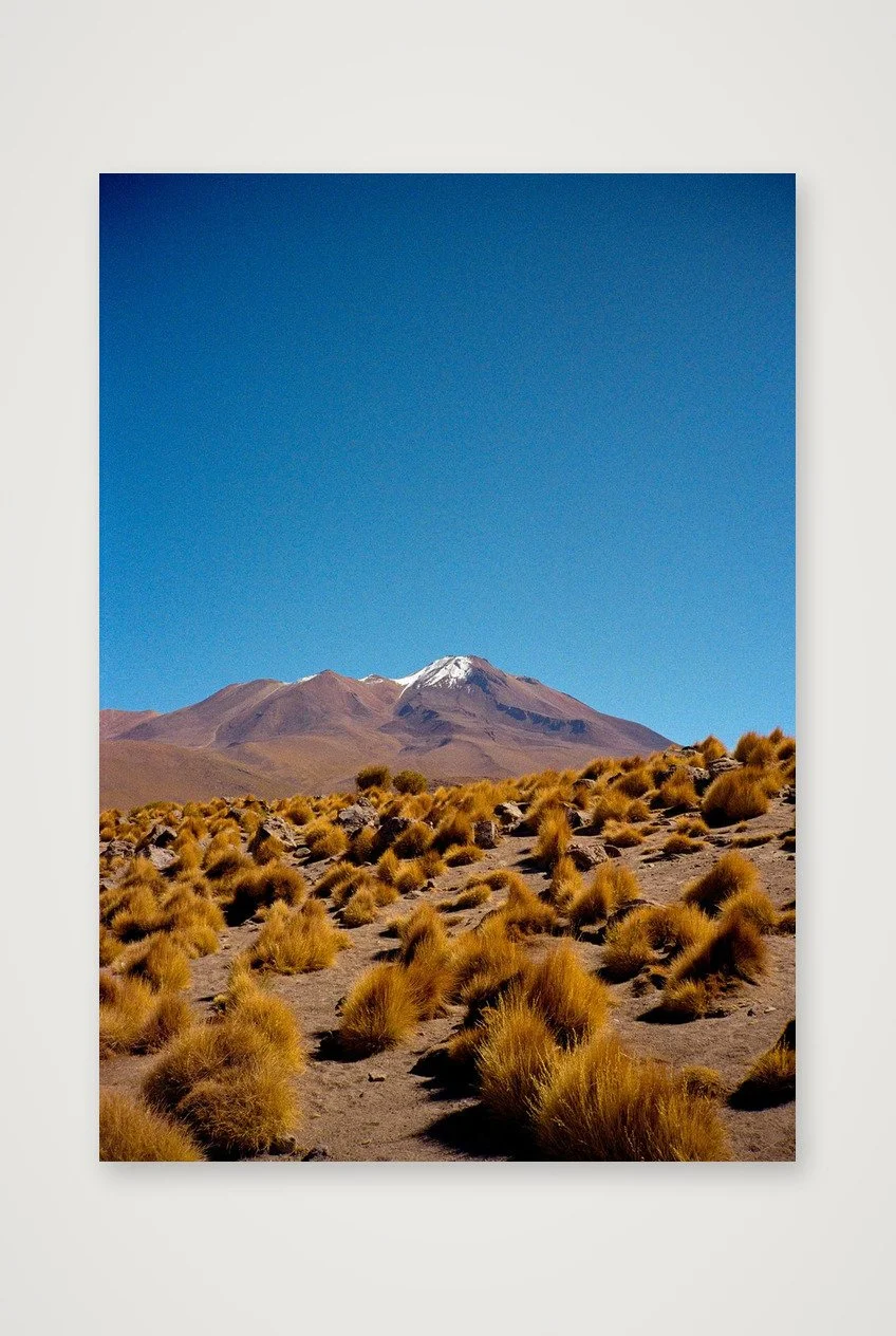 Altiplano