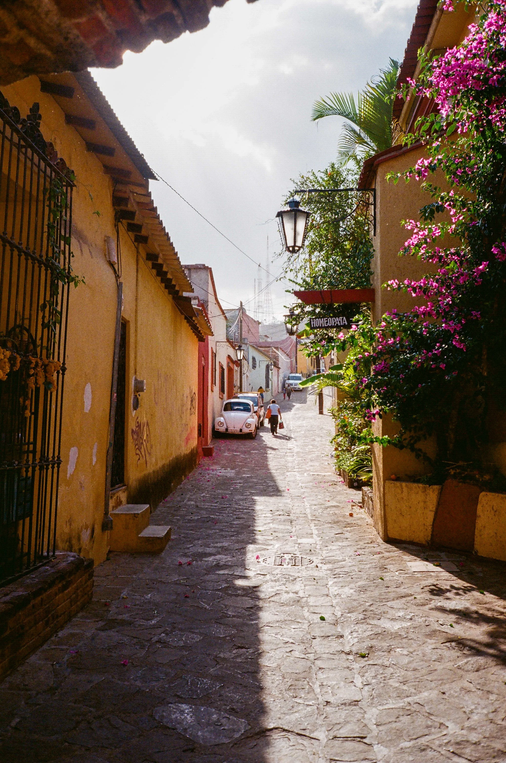 Oaxaca City, Oaxaca .jpeg