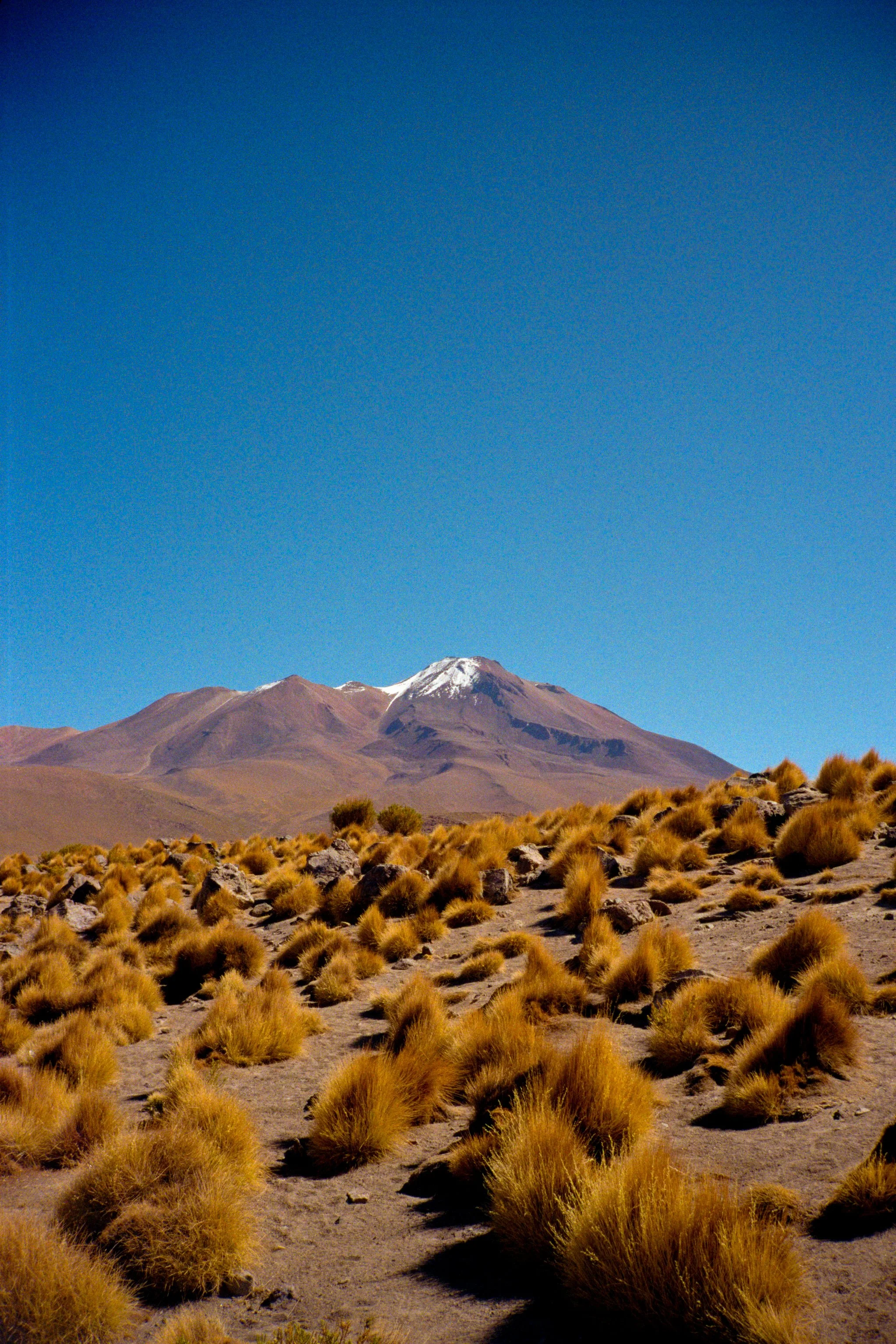 Altiplano_.jpg