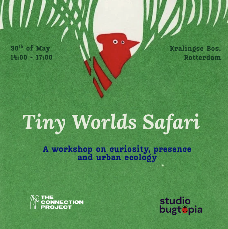 Tiny Worlds event
