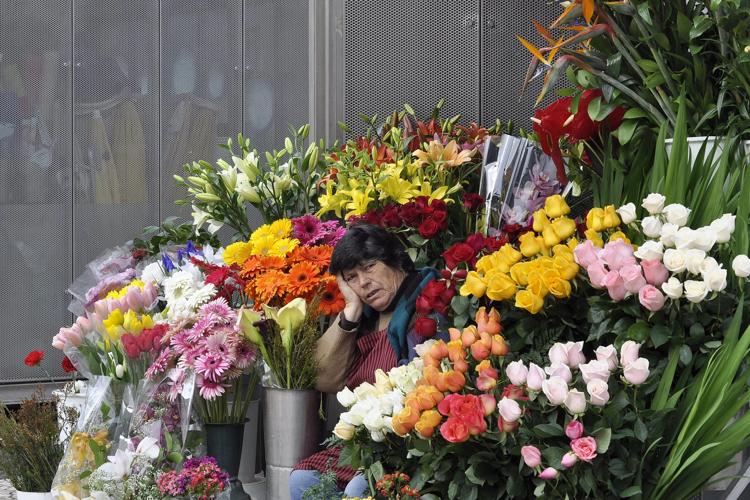 Flowers | Lisbon, PT - 2015