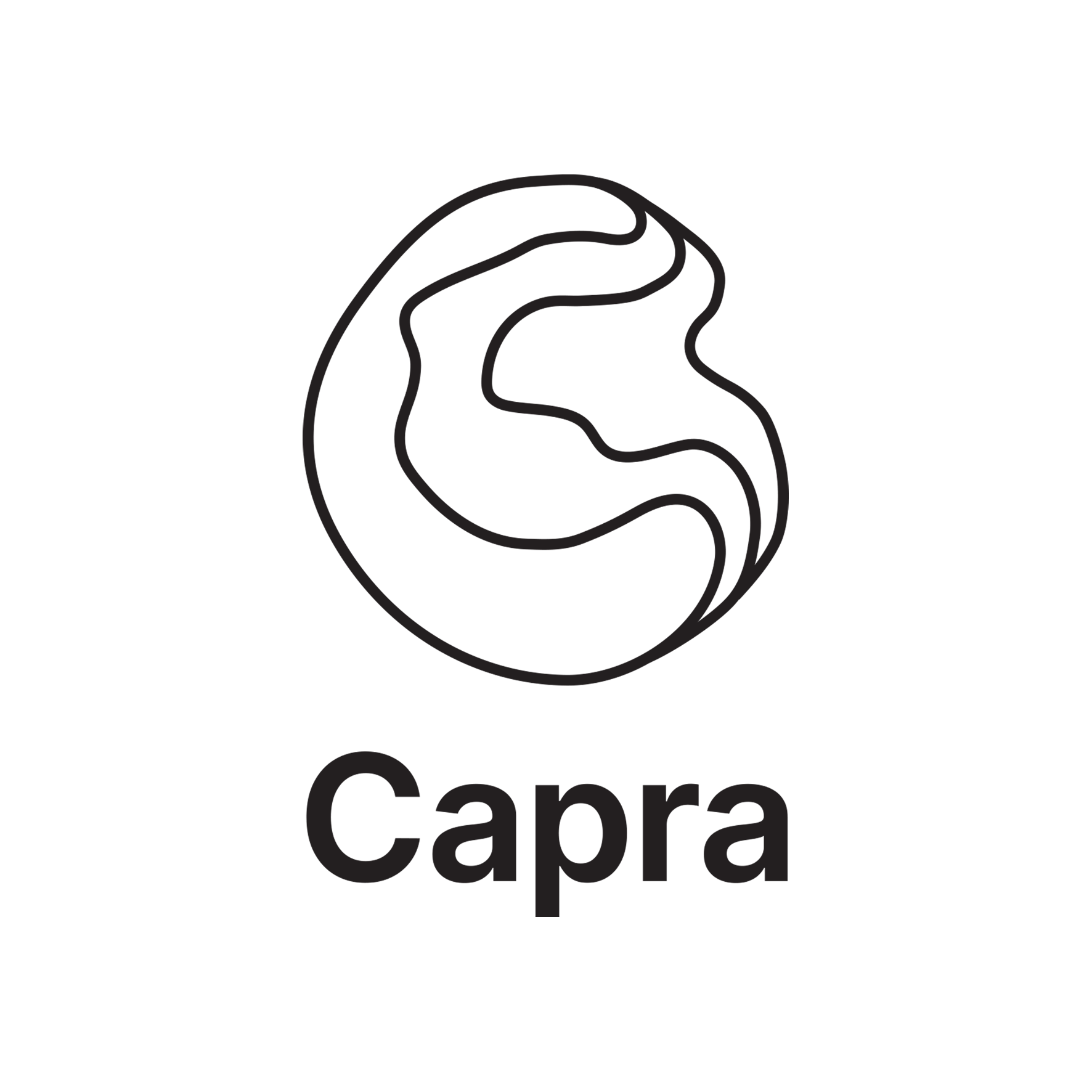 Capra Consulting Logo square.png