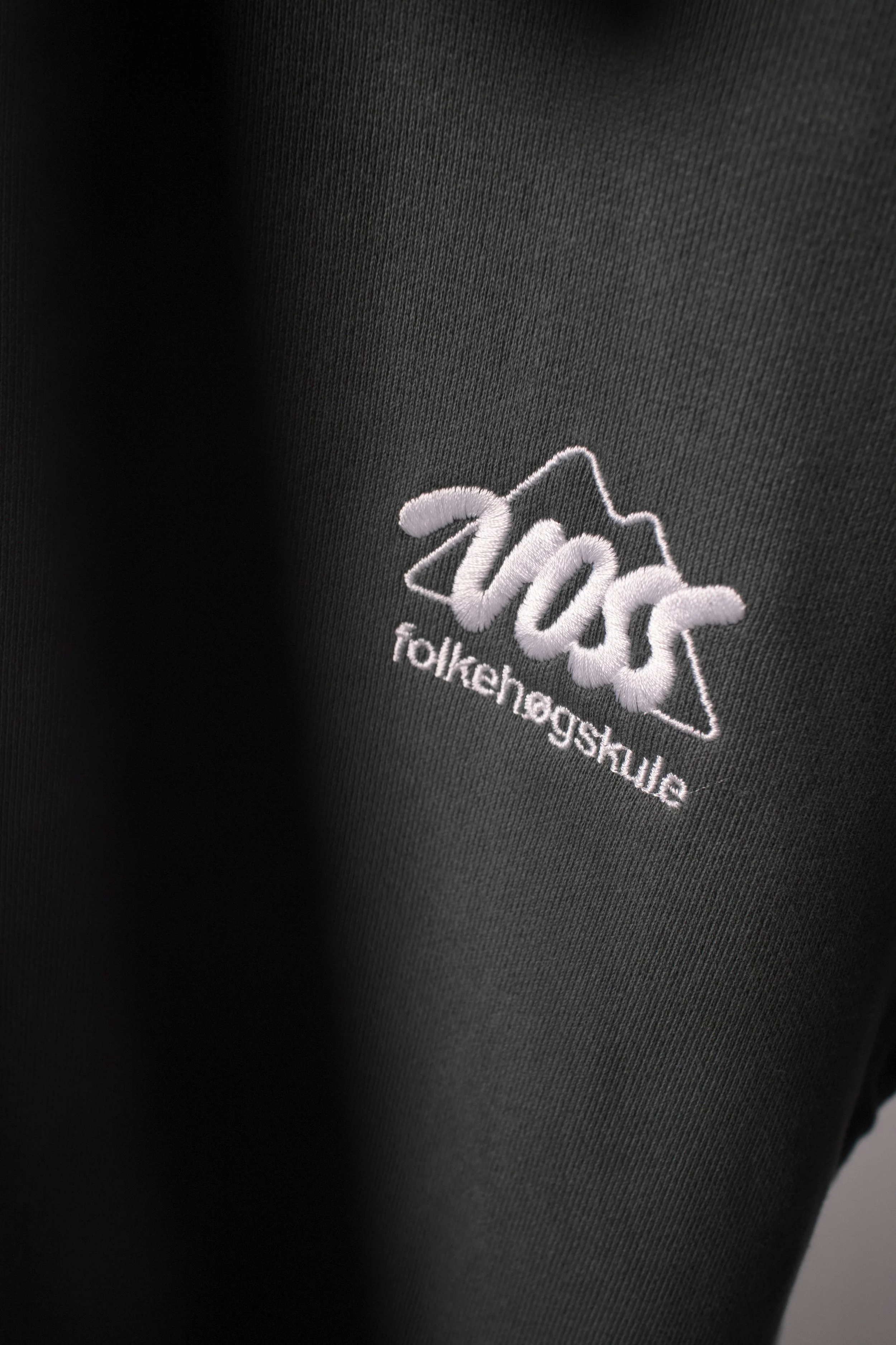 Hoodie front logo detail.jpg