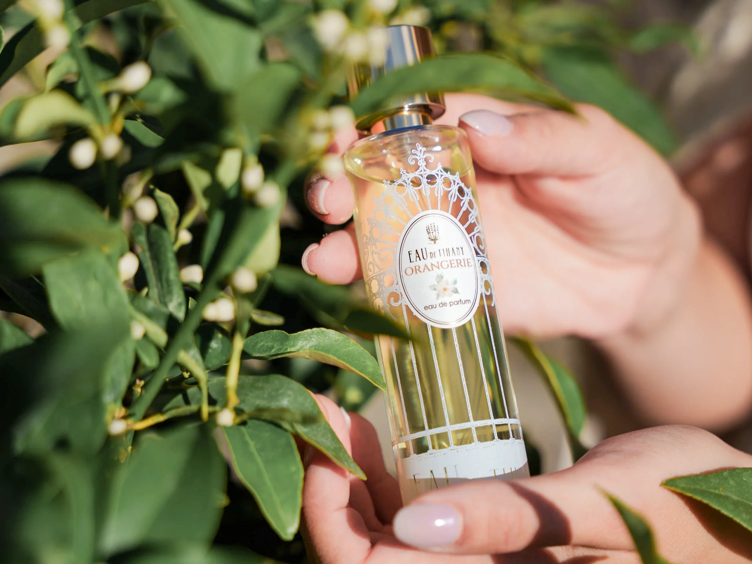 Orangerie Eau de Parfum