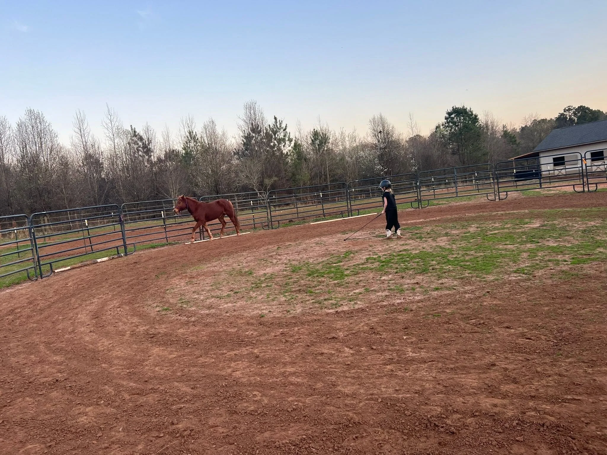 round pen.jpg
