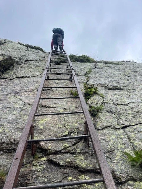 ladder.jpg