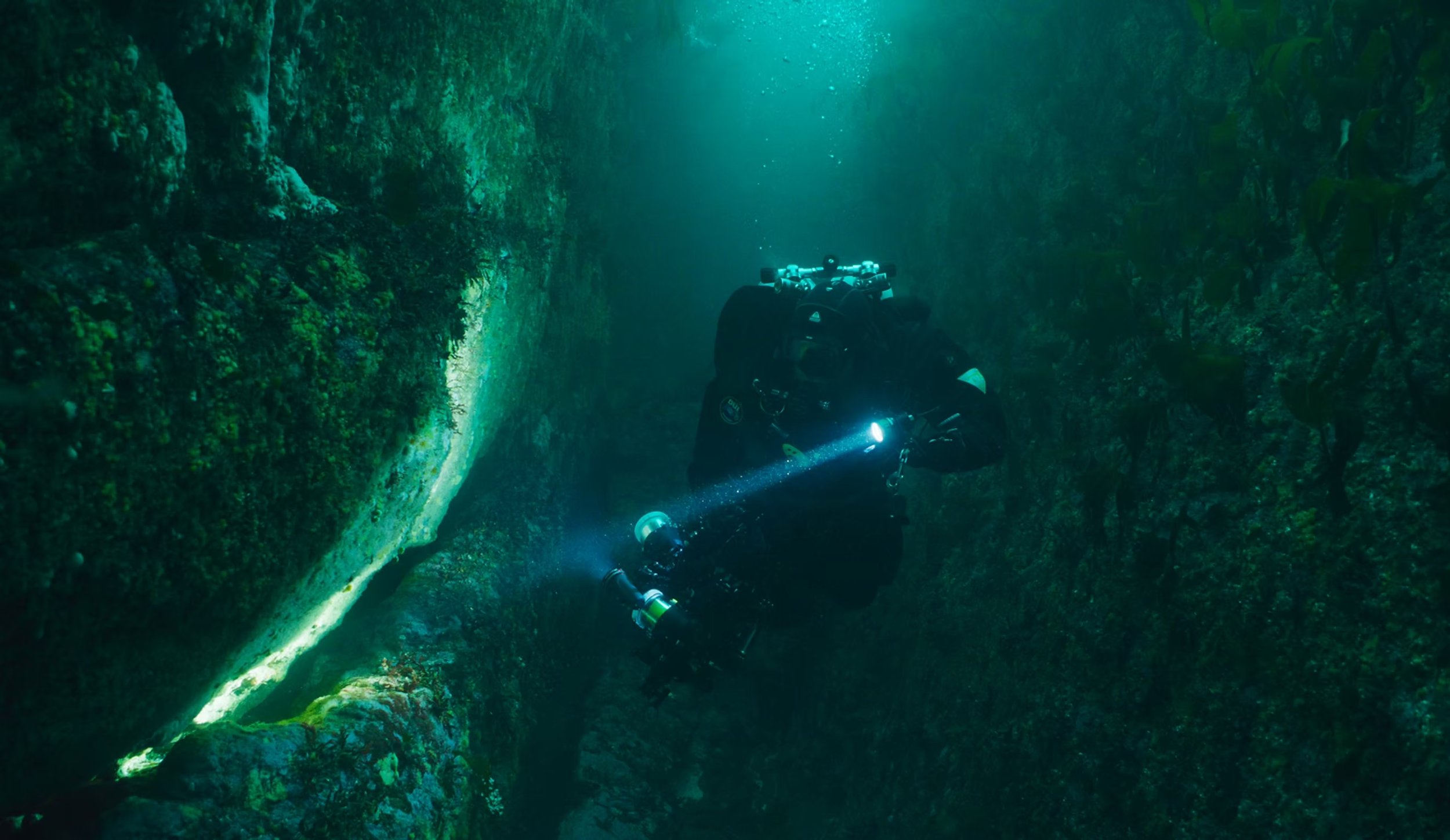 A scuba diver exploring underwater caves surrounded by green aquatic plants with a flashlight illuminating the path.
