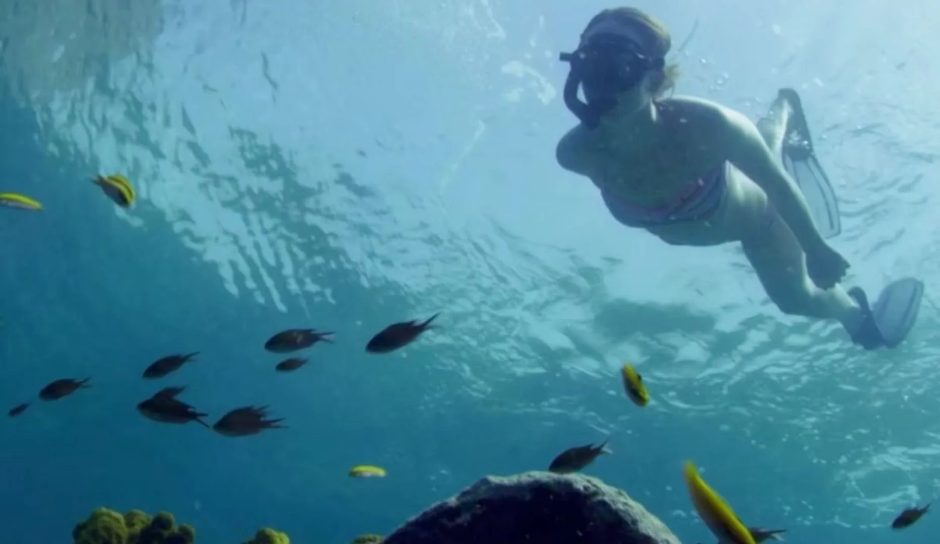 A woman snorkeling underwater among colorful fish and coral, with a snorkel mask and fins.