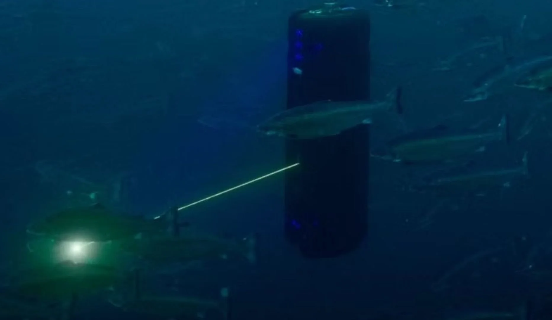 Underwater scene with fish swimming near a tall structure, with a laser or light beam emitting from the bottom left.