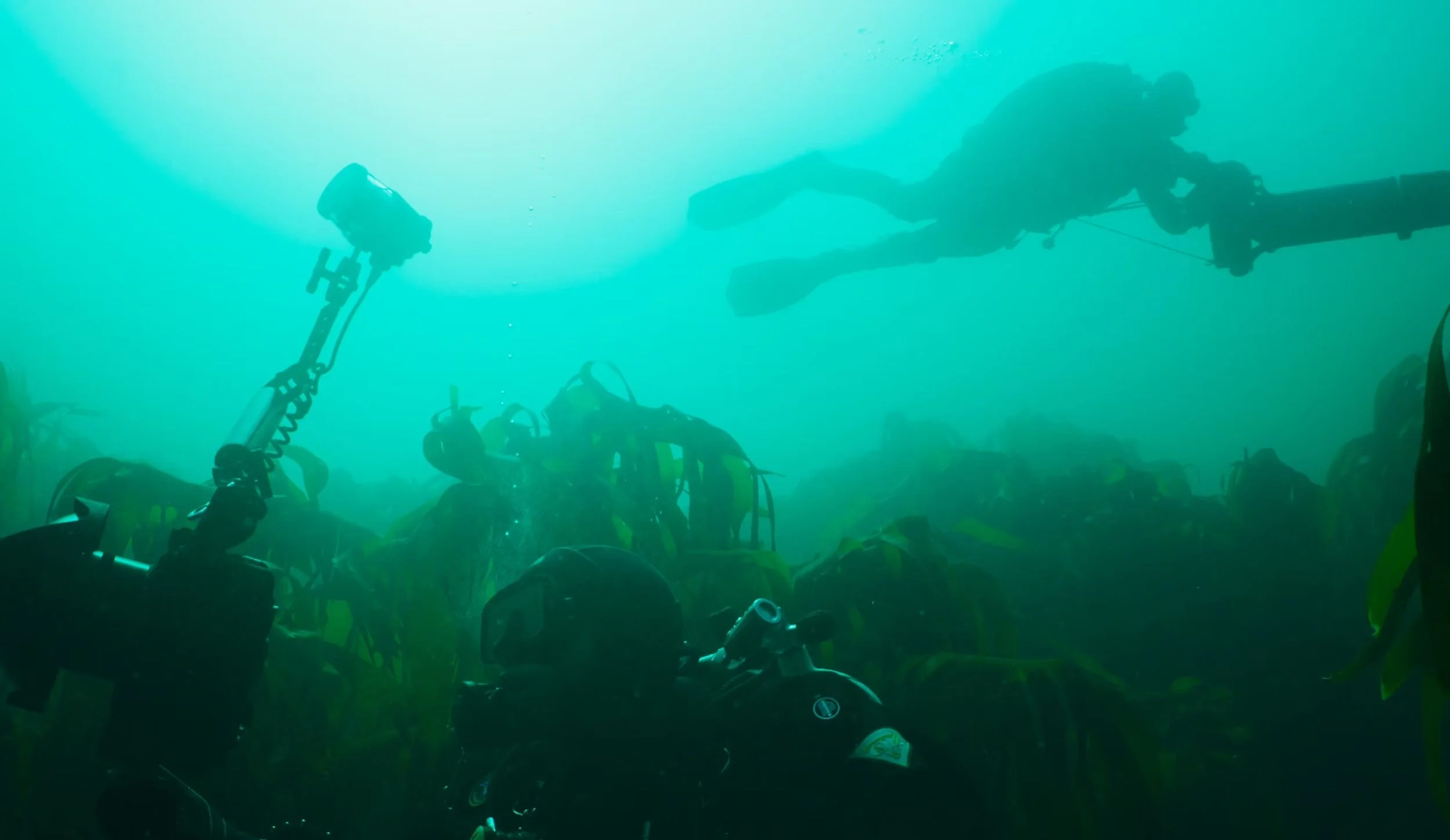 Underwater scene with scuba divers and equipment, viewed from below.