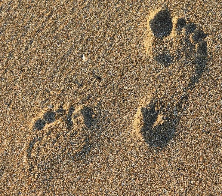 Two footprints pressed into sunlit sand, suggesting memory, presence, and the traces we carry into a new year