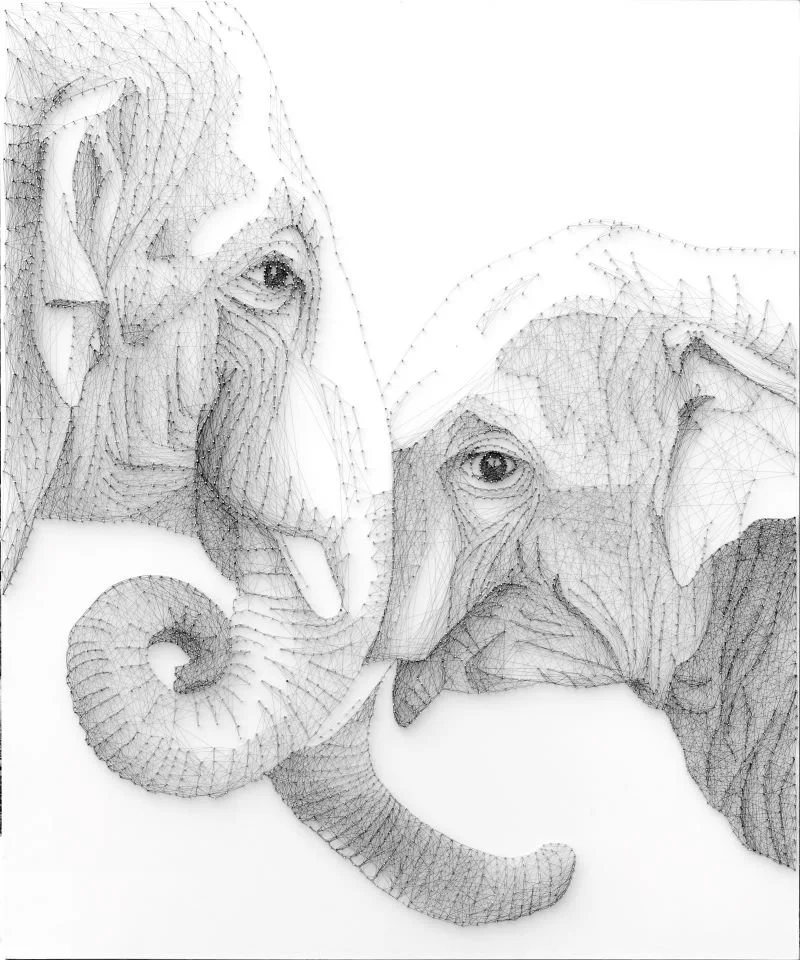 100 x 120 cm