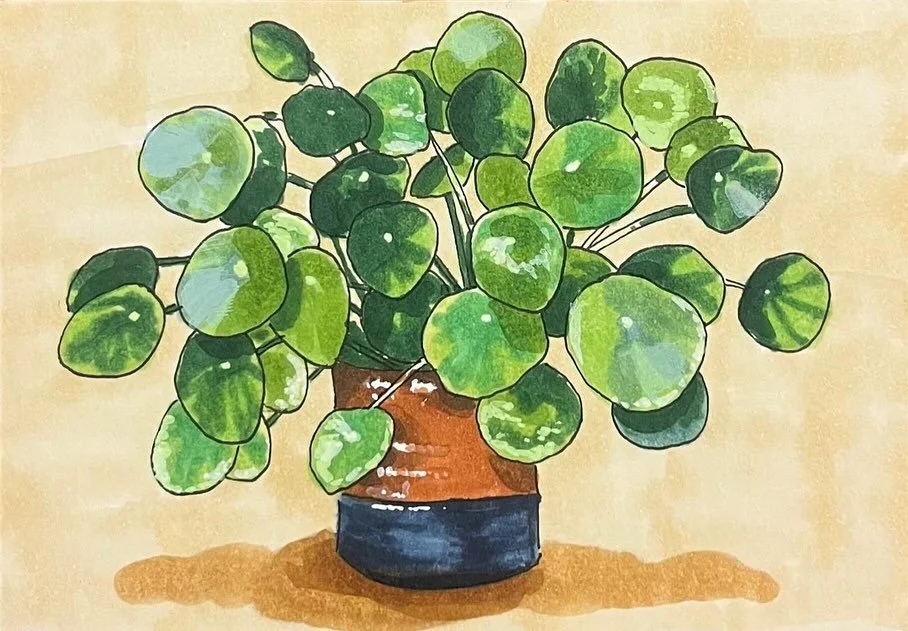 Een kleine oefening van afgelopen week: deze schattige pannenkoekenplant in mijn huis ðŠī met alchoholmarkers op 7x10 cm 
#ohuhumarkers #ohuhubrushmarkers #littledrawing #ohuhumarkerdrawing #kunst #kunstenaars #kunstenaar #tekening