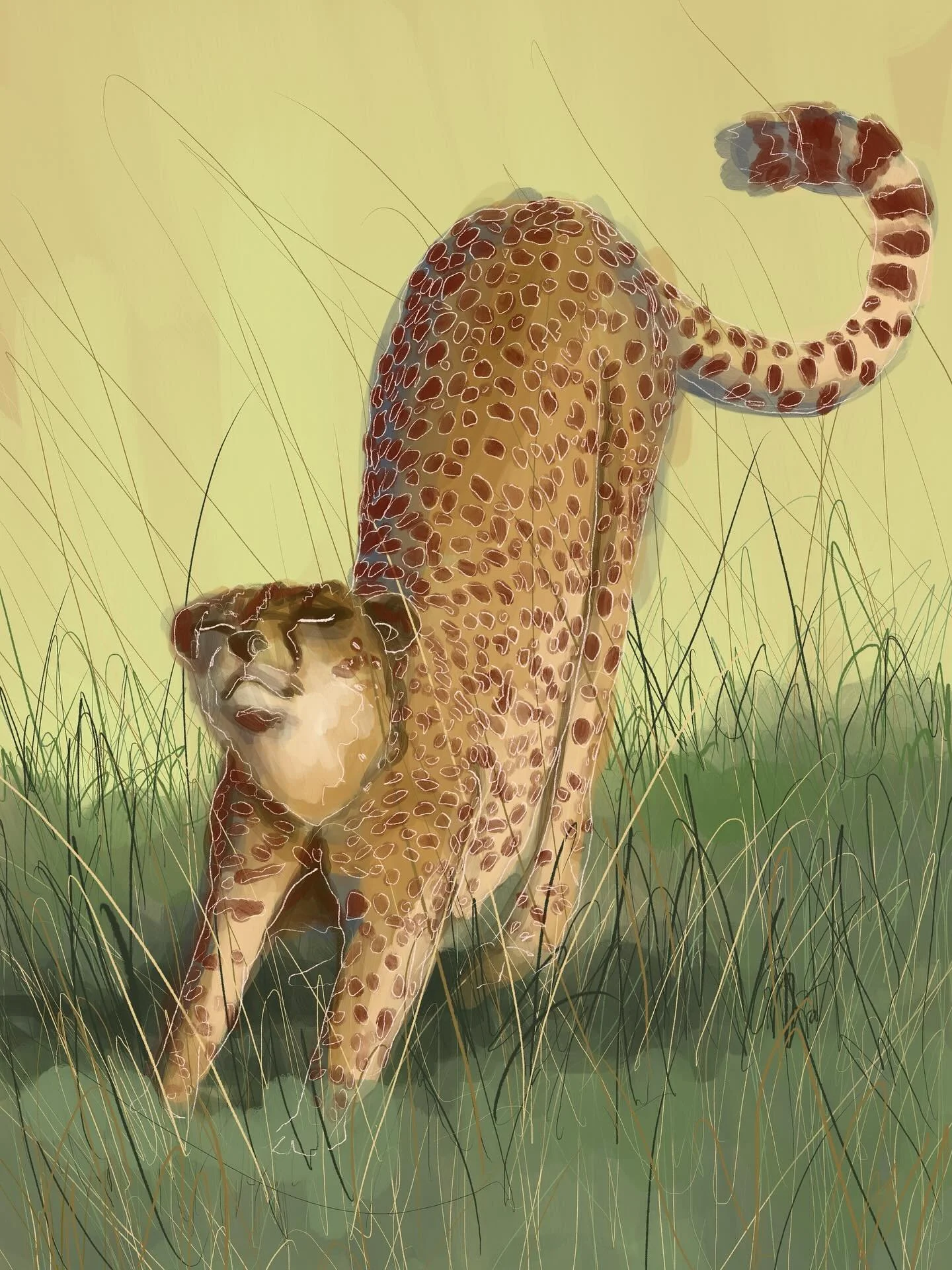 Swipe om een deel van het proces te zien. Vlekje voor vlekje wordt ingekleurd! 
#procreateartists #processvideo #animalartwork #kunstwerk #kunst #digitaaltekenen #illustreren