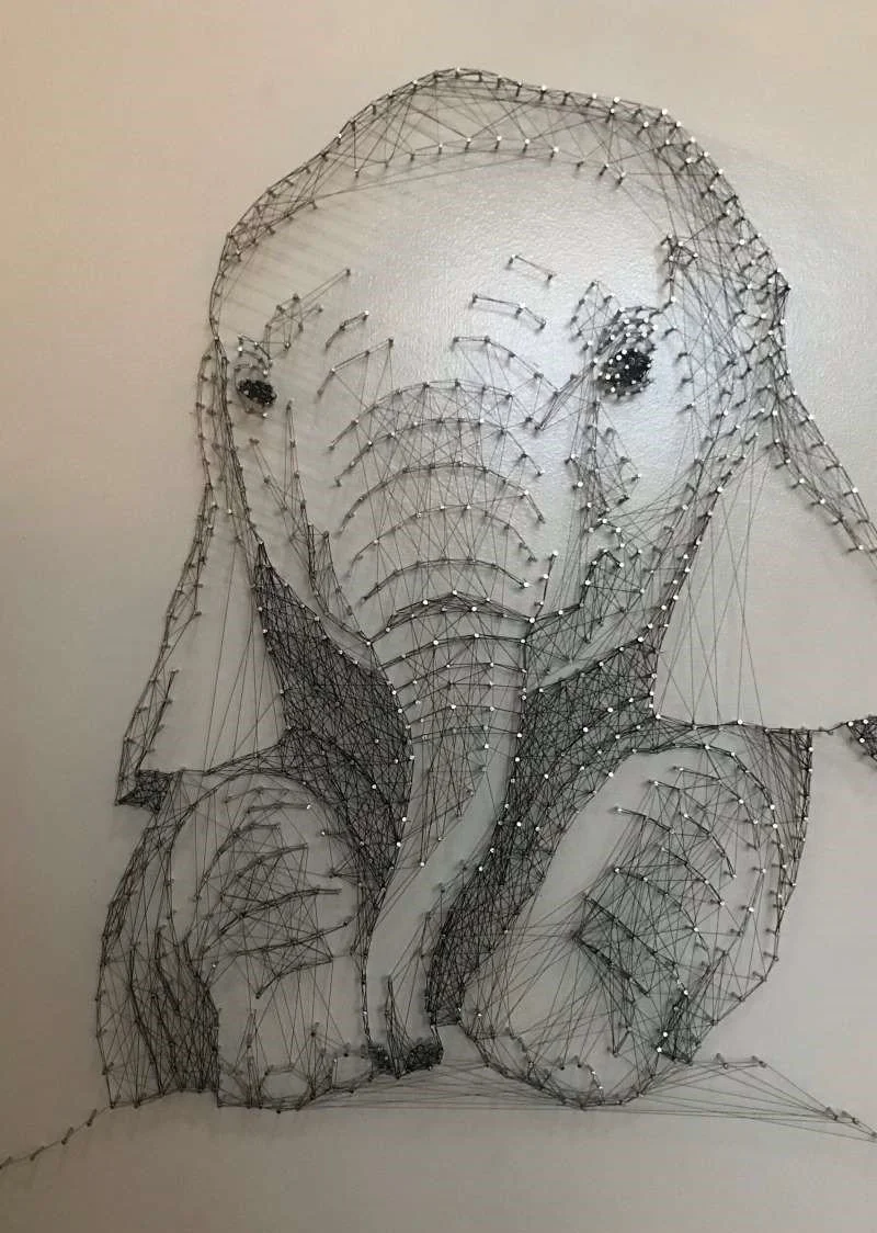 40 x 50 cm
