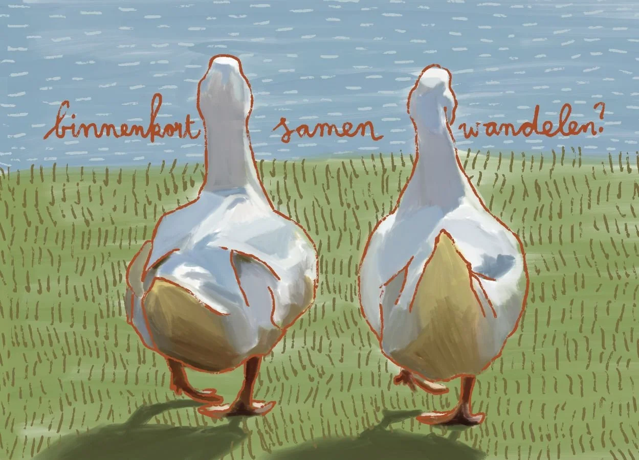 twee ganzen wandelen samen