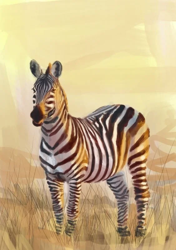 dier_zebra.JPG