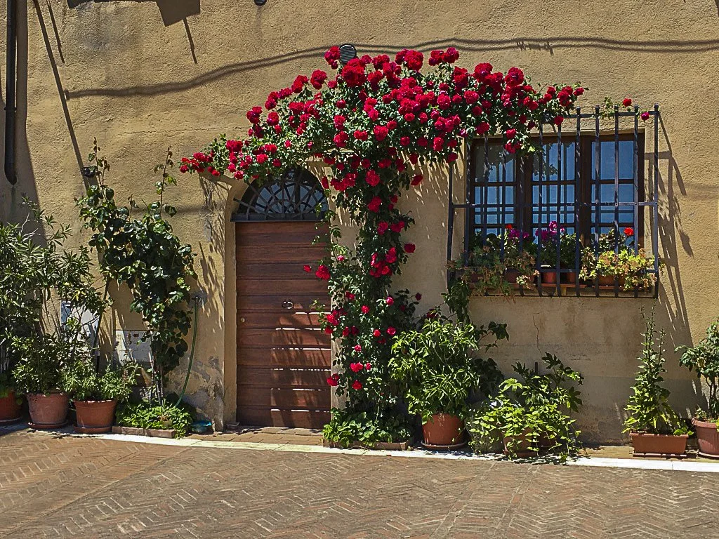 Red Rose Door Italy.jpg