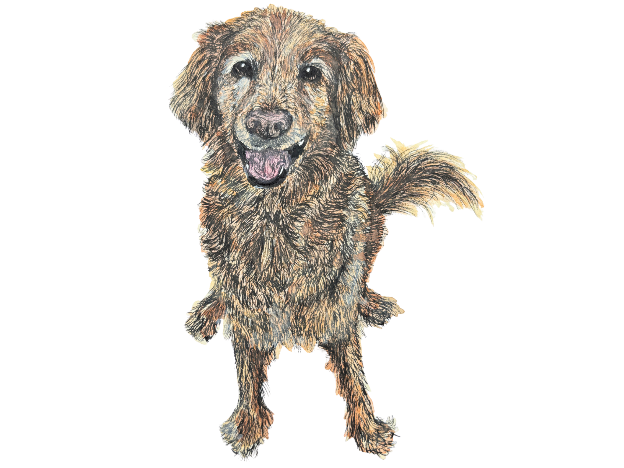 Digital Files (20).png