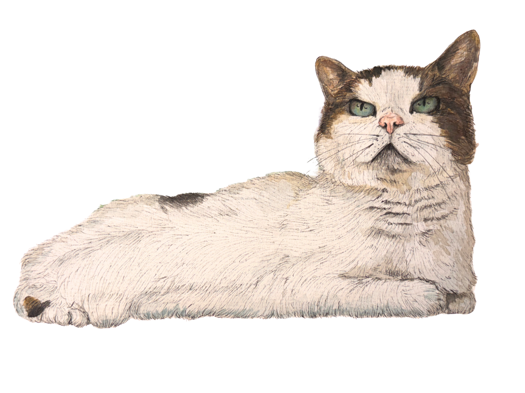 Digital Files (1).png