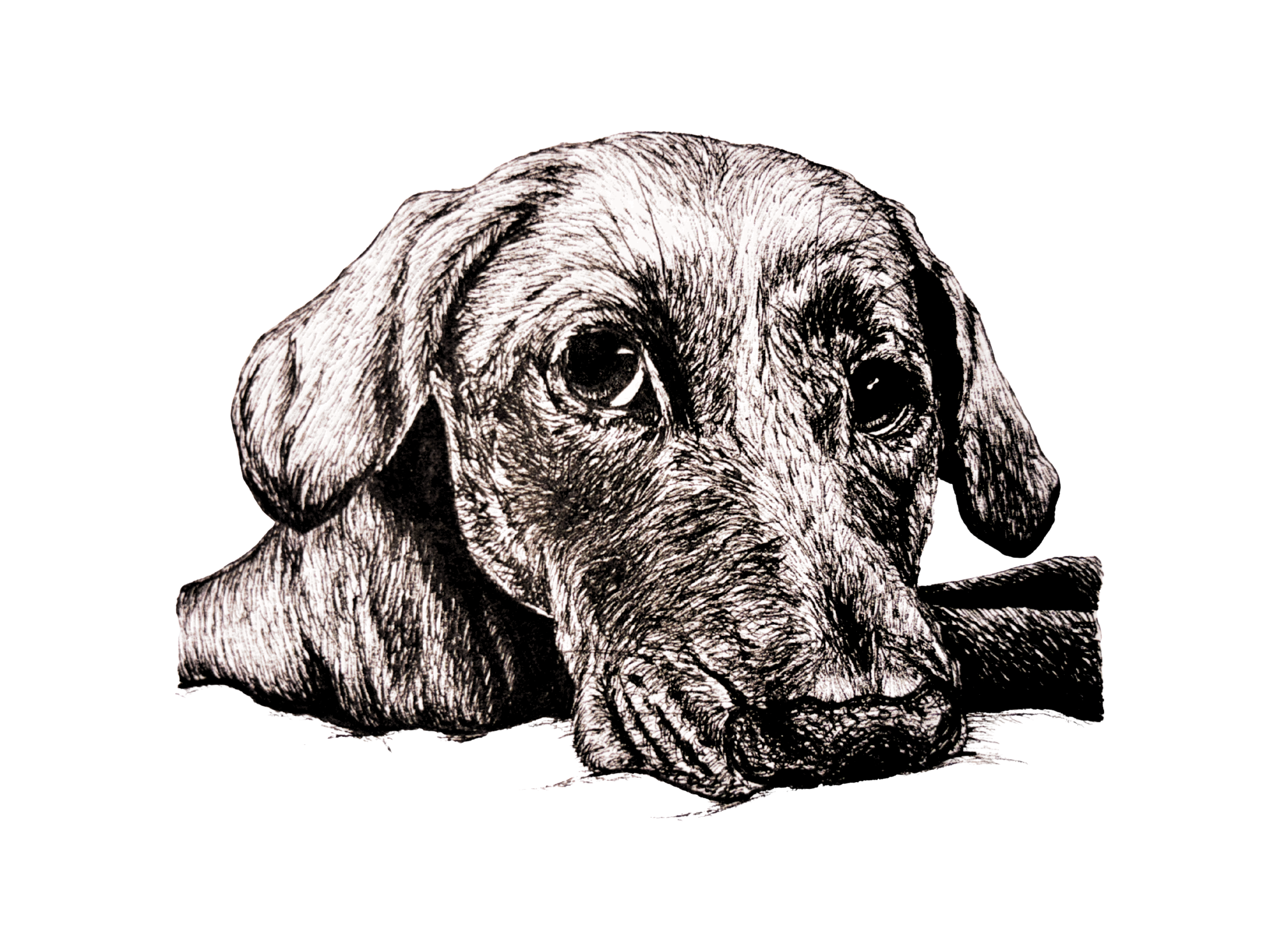 Digital Files (18).png