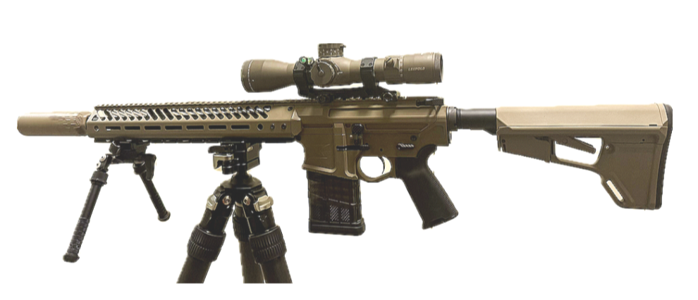 DMR September 2025