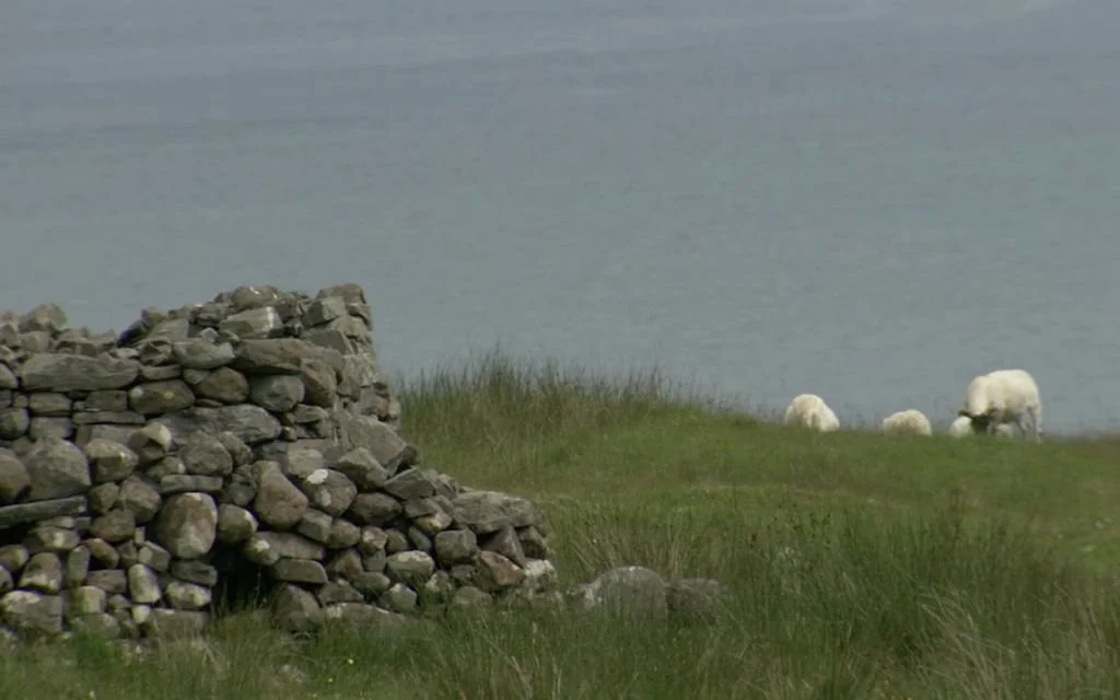 Guy Perrotta, aka CinematicGuy, is a producer, writer, director, and researcher. He co-produced Voices Over the Water, a television documentary and digicast with Jane Ferguson (PBS). The image above is of excavated ruins in Scotland.